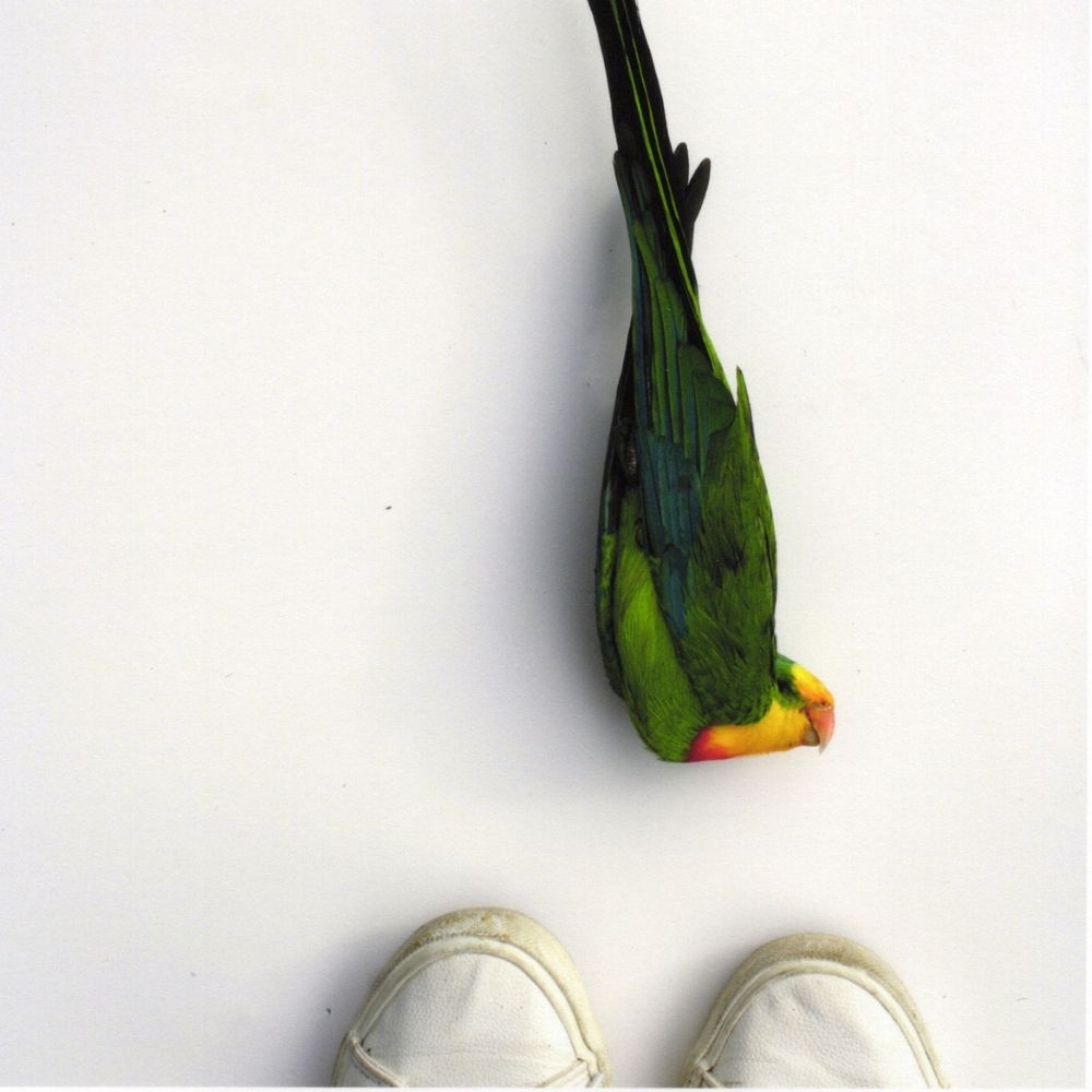 After AFTER - open edition print by Antoinette Ratcliffe