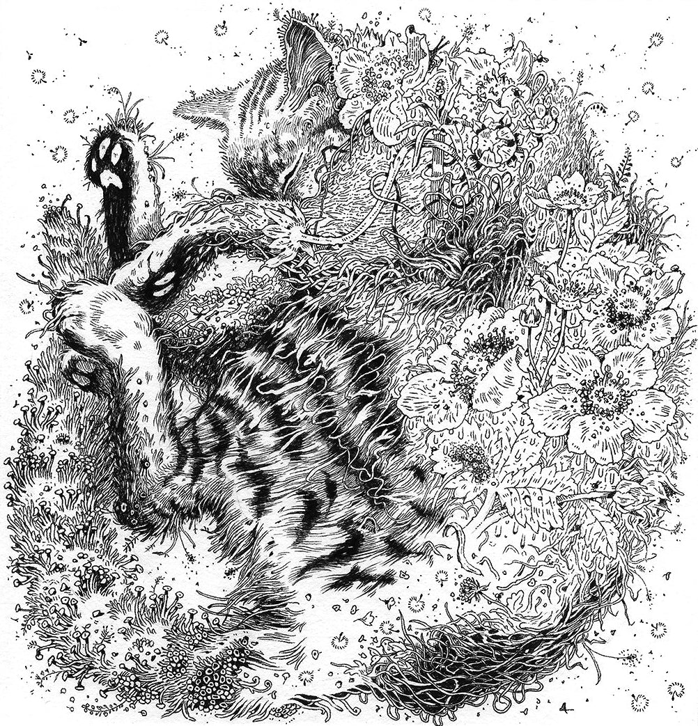 Black and white illustration of a cat among flowers and plants