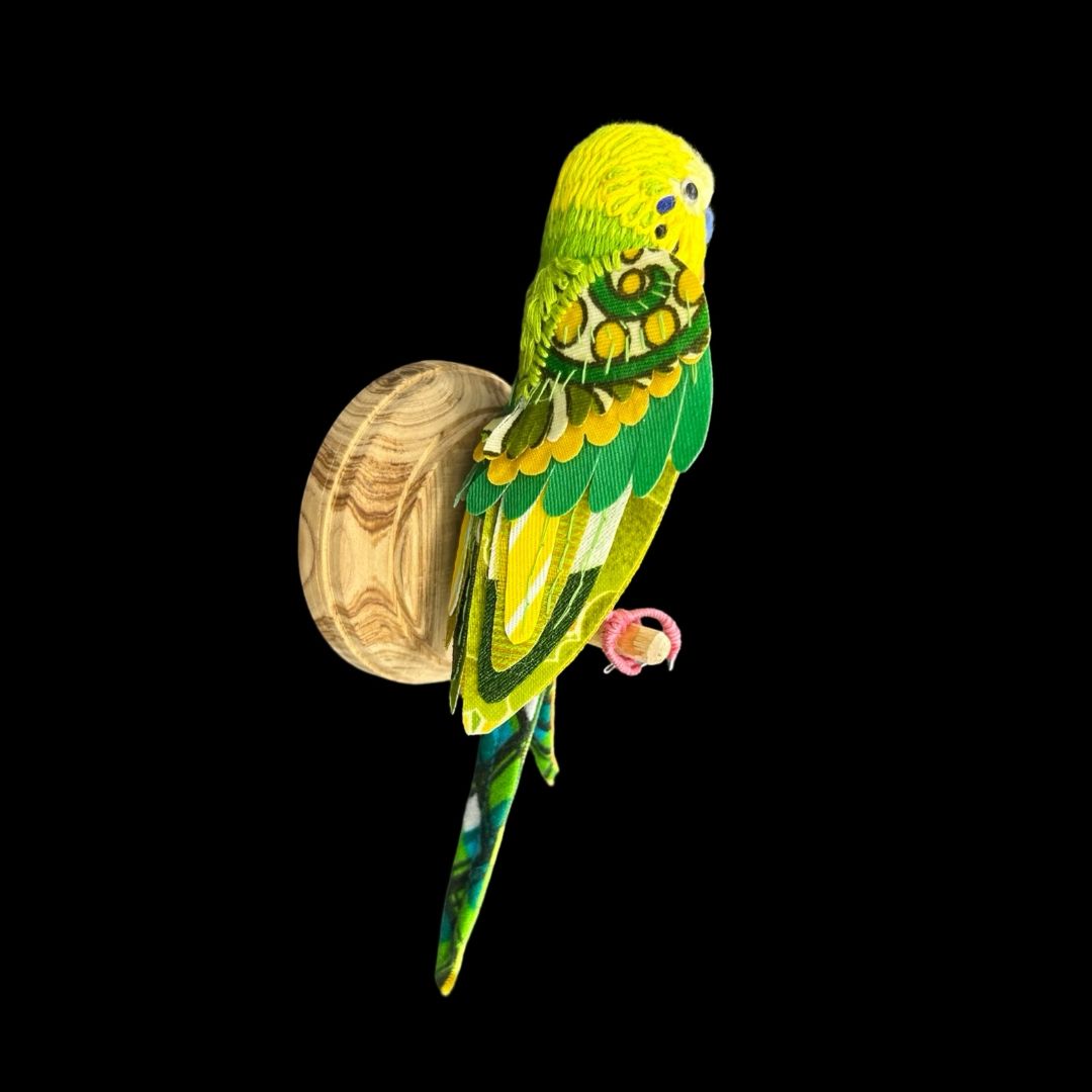 Budgie (blue cere) - Robyn Lees-West - Quirky Fox