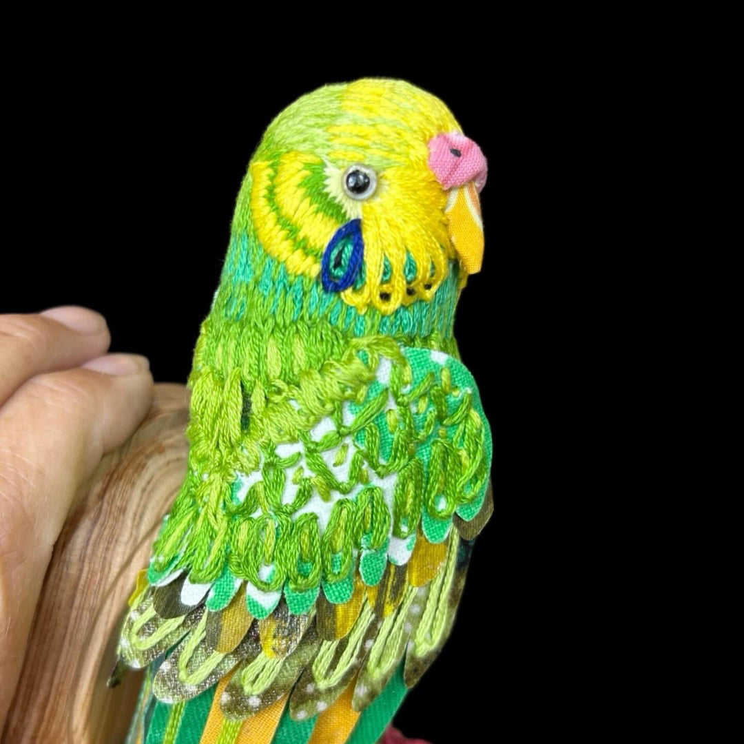 Budgie (pink cere) - Robyn Lees-West - Quirky Fox