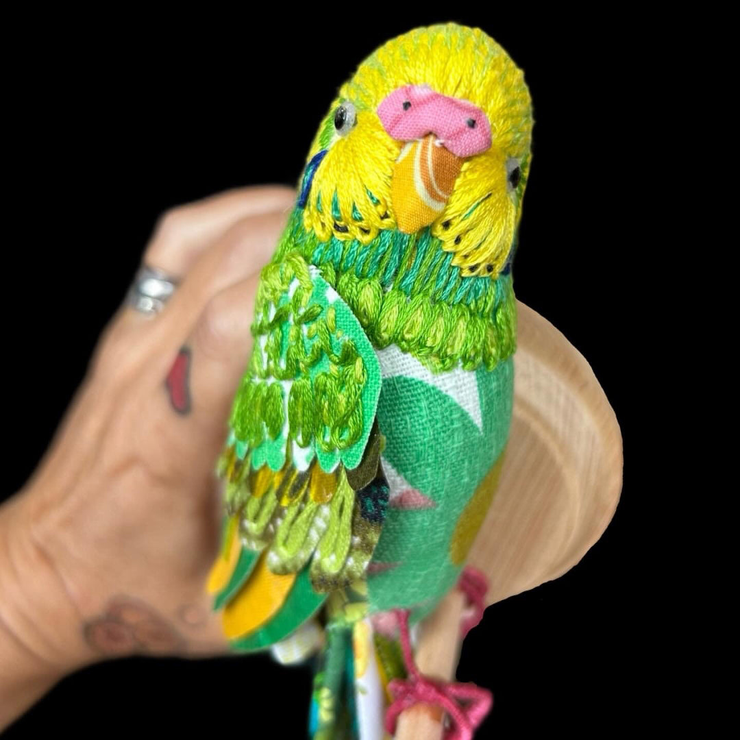 Budgie (pink cere) - Robyn Lees-West - Quirky Fox