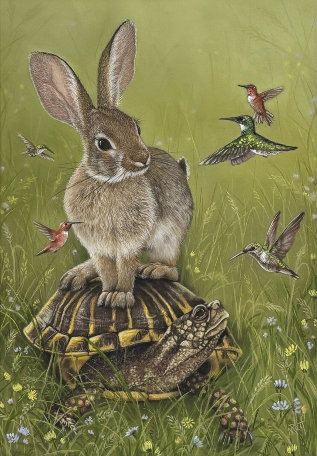Cottontail Capers - Nicola Reif - Quirky Fox
