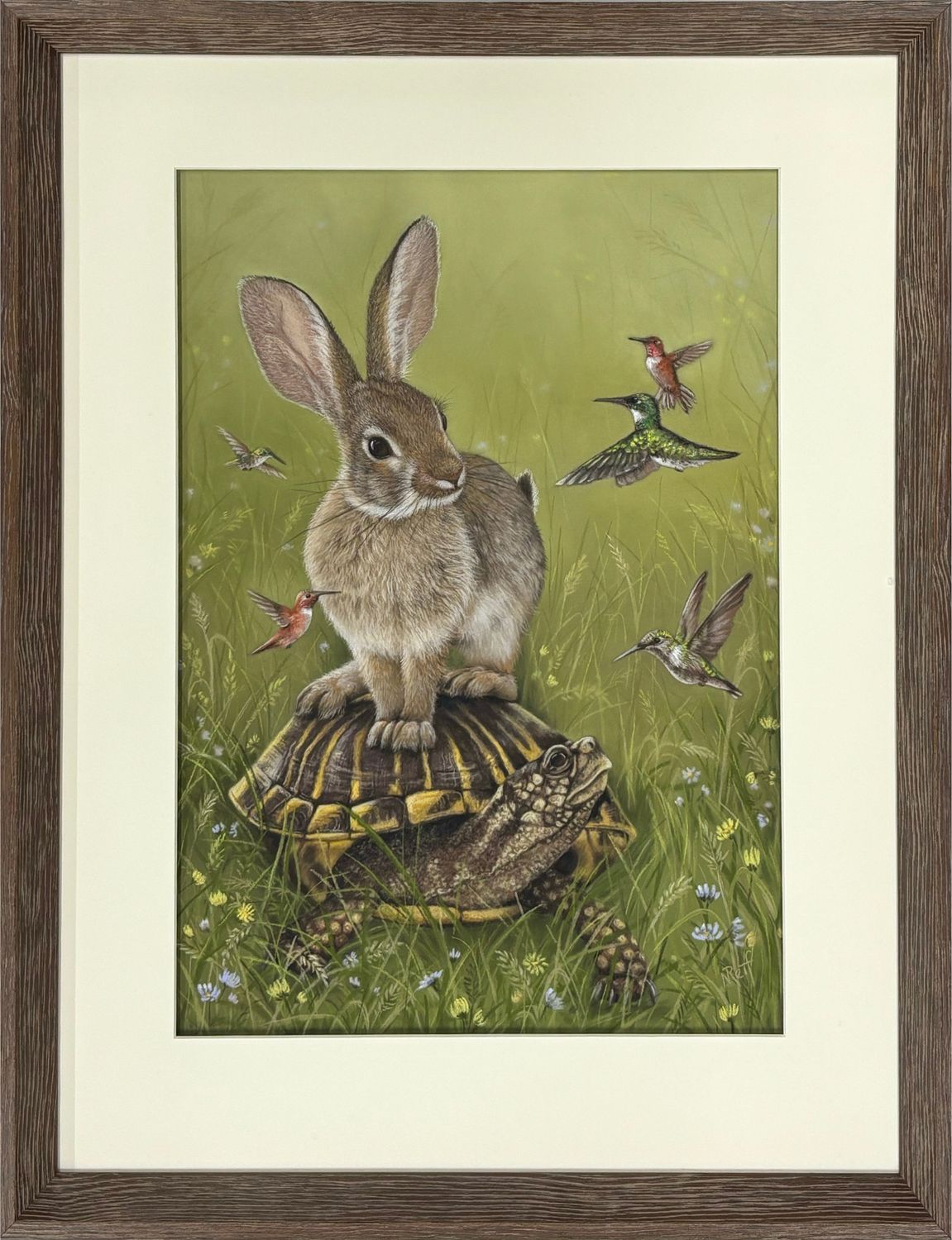 Cottontail Capers - Nicola Reif - Quirky Fox