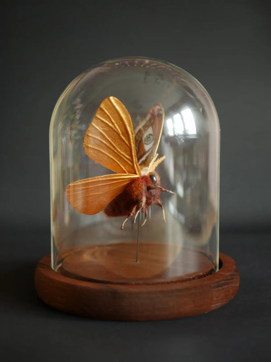 Faux taxidermy emperor moth created from wool, wire, thread, clay and watercolour wings.