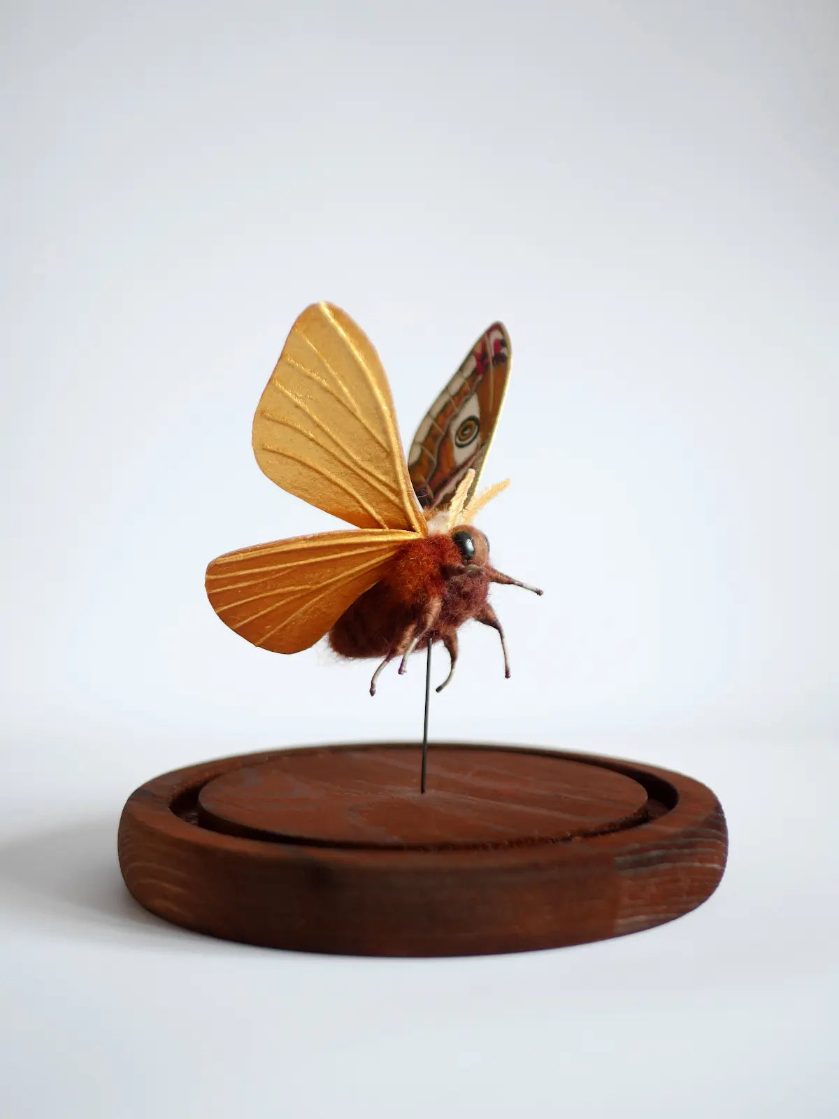 Faux taxidermy emperor moth created from wool, wire, thread, clay and watercolour wings.