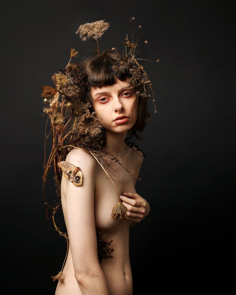 Gone To Seed - limited edition photographic print by Leigh Schneider