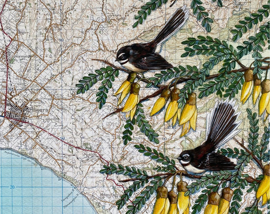 Map of Hawera with birds and flowers superimposed