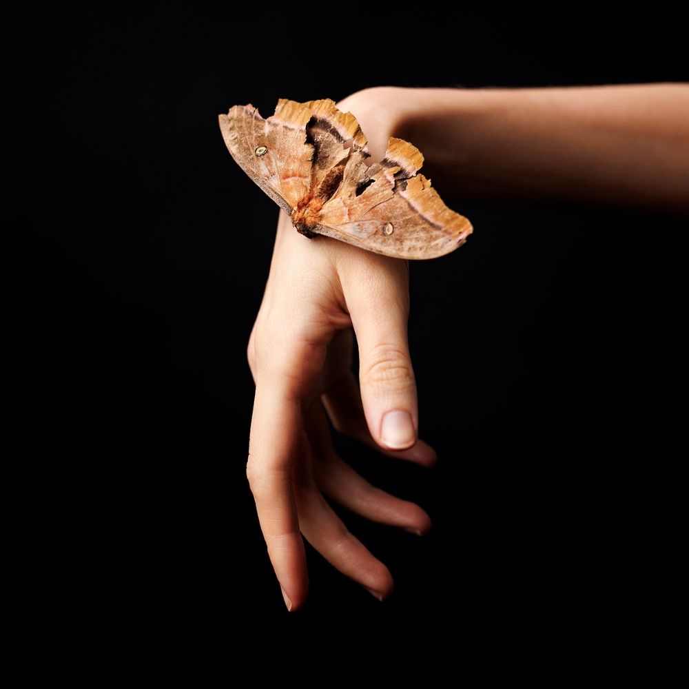 Helping Hand II - limited edition photographic print by Leigh Schneider