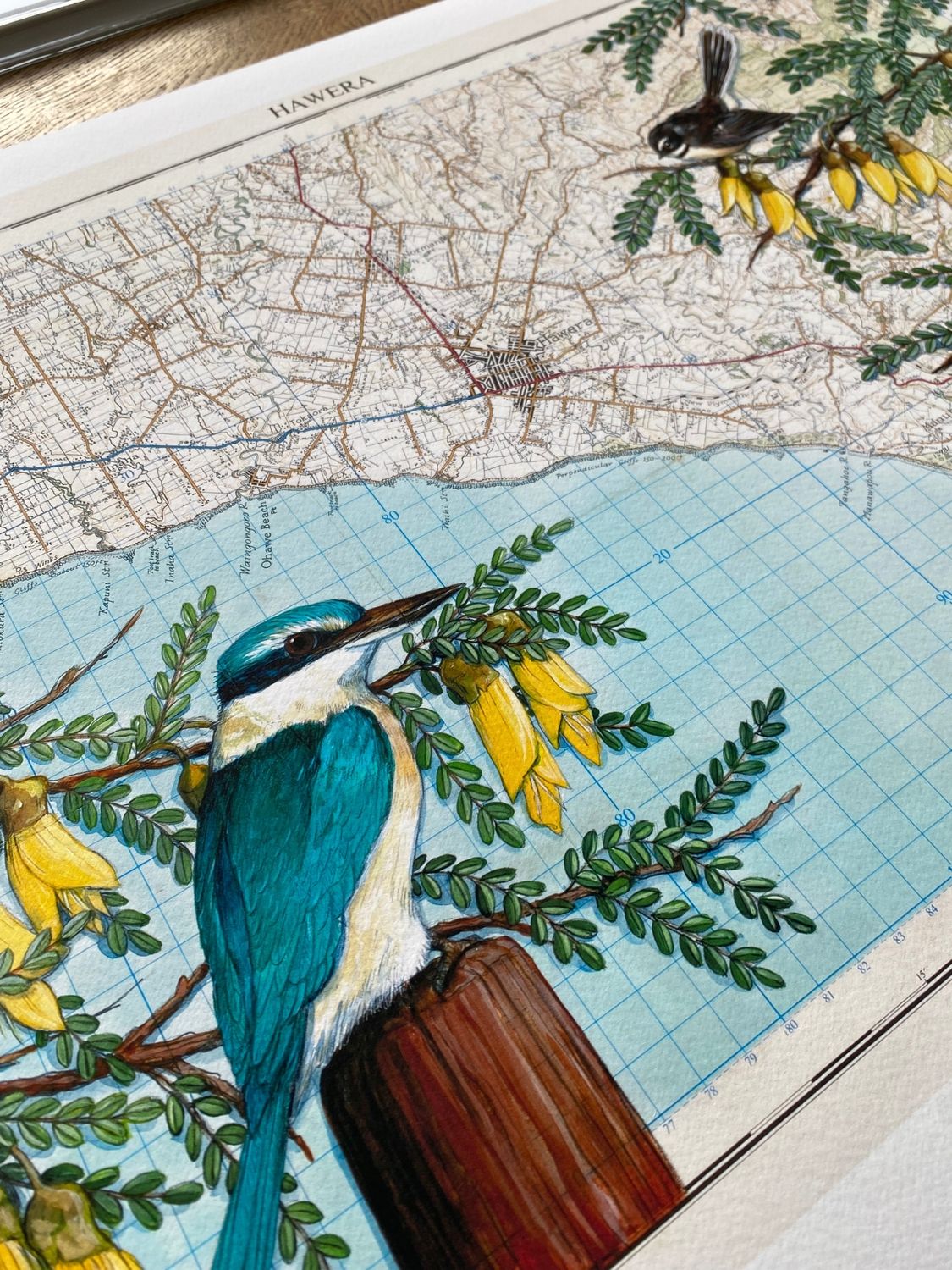 Illustration of a blue kingfisher on a branch with yellow flowers over a map of Hawera
