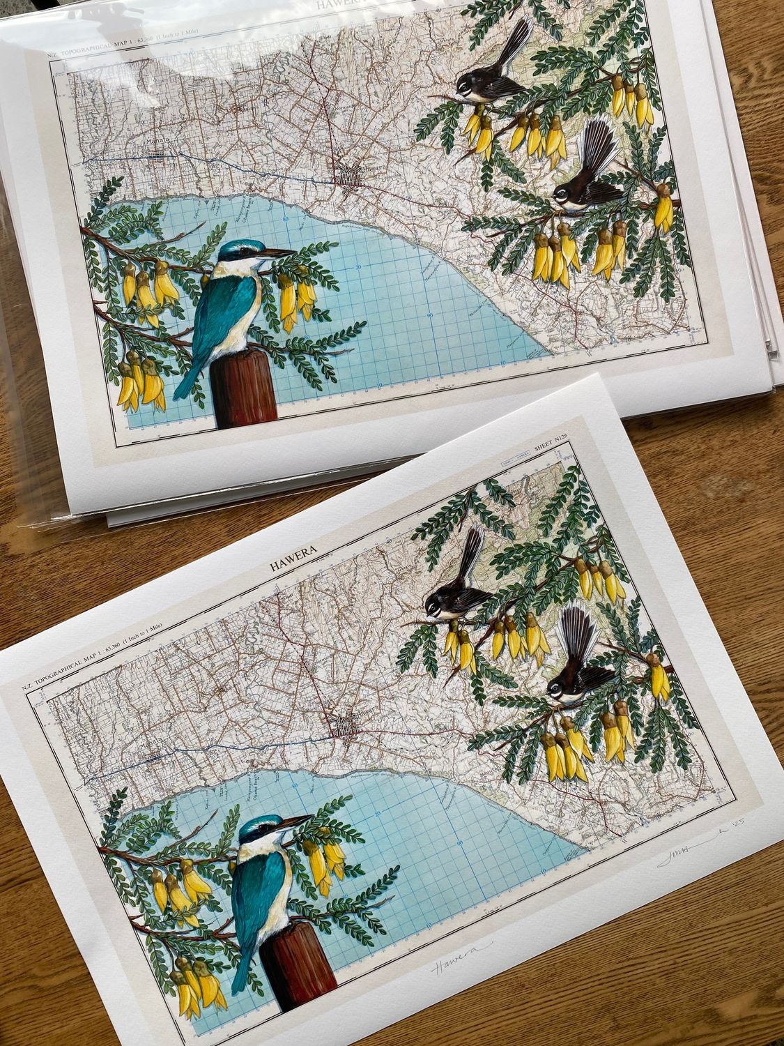Hawera map with NZ native birds and plants