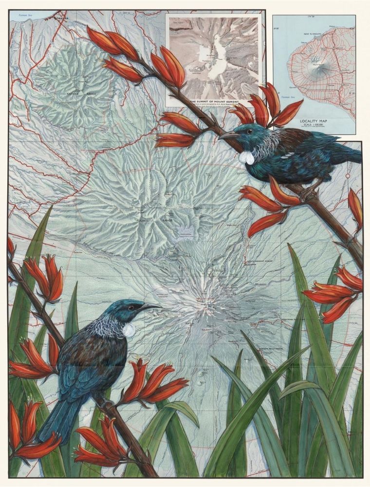 Taranaki Summit - limited edition print by Justine Hawksworth