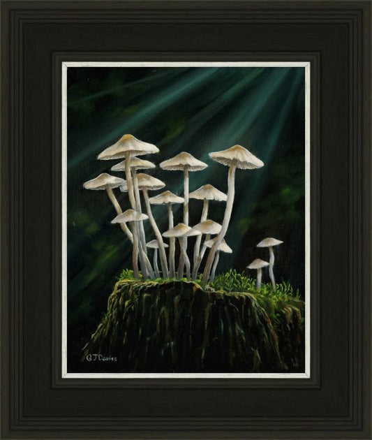 Moonlight Mottlegills Original Framed Painting by Quintin Davies