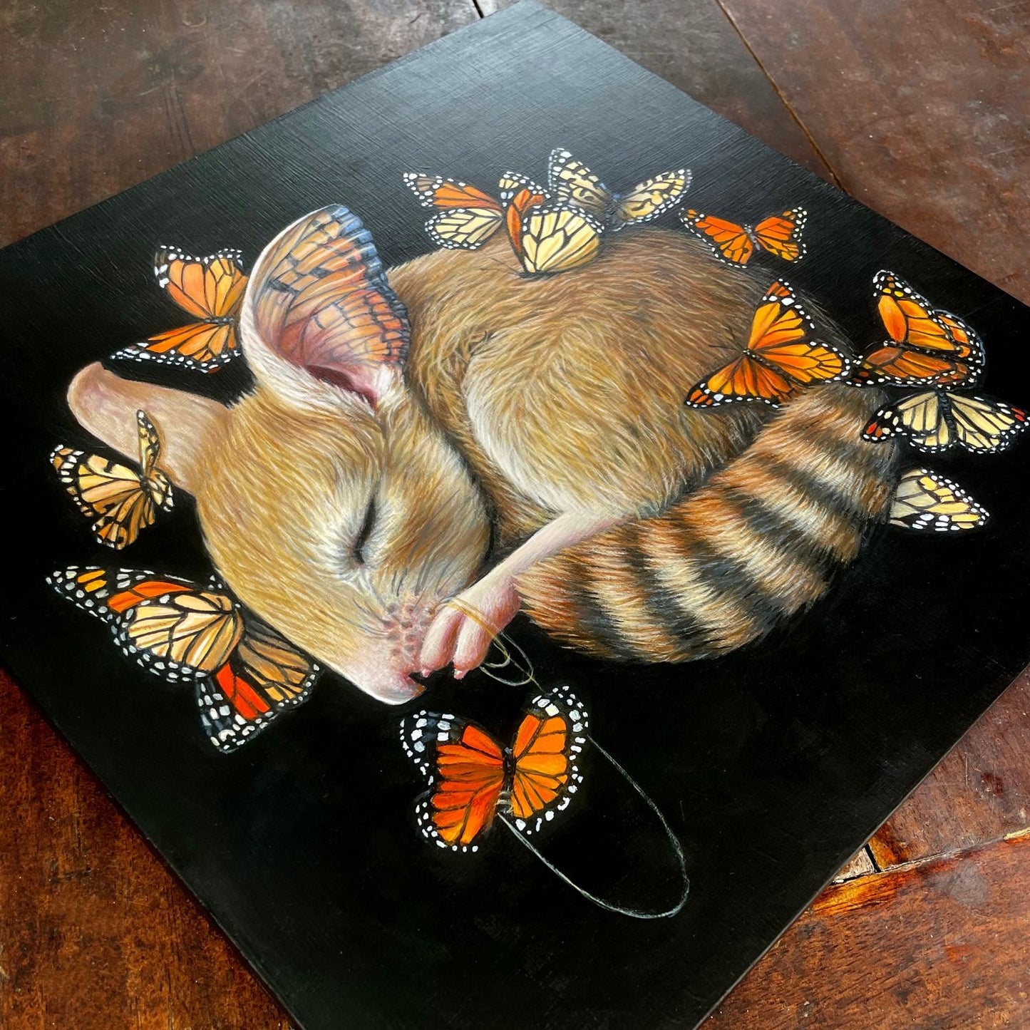 Müllerian Mimicry - Rachel Favelle - Quirky Fox