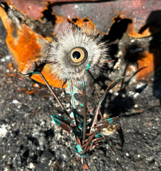 Rebirth - Hazel Newton - Quirky Fox