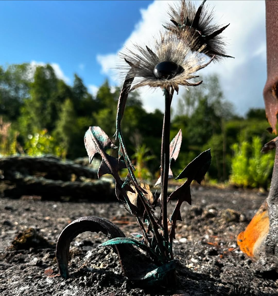 Rebirth - Hazel Newton - Quirky Fox