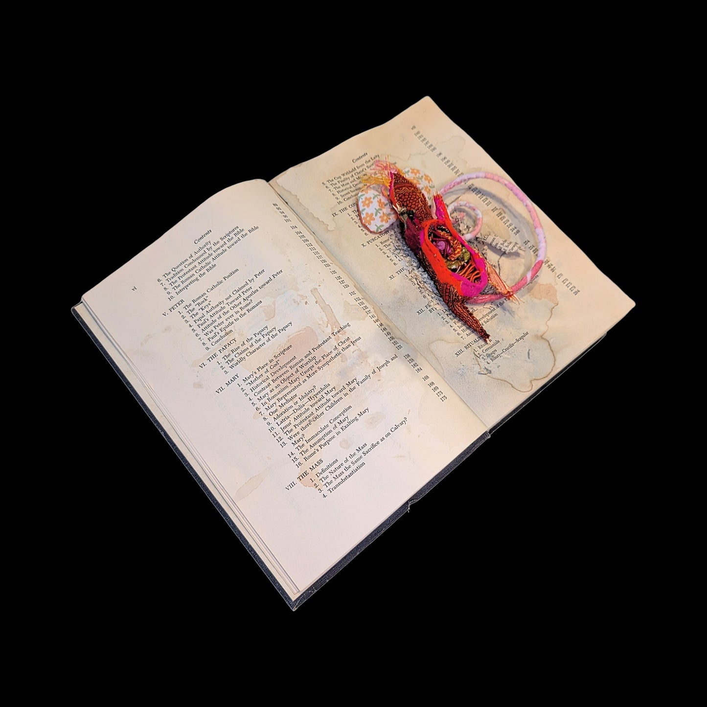 Squashed taxidermy mouse in an open book