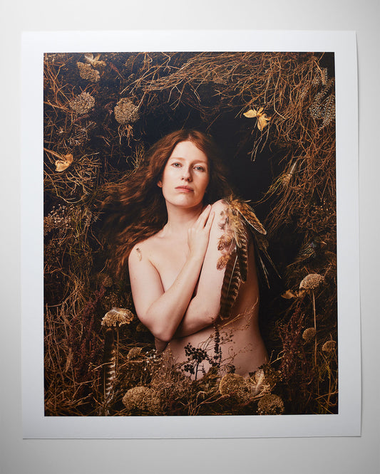 Shelter - Leigh Schneider - Quirky Fox