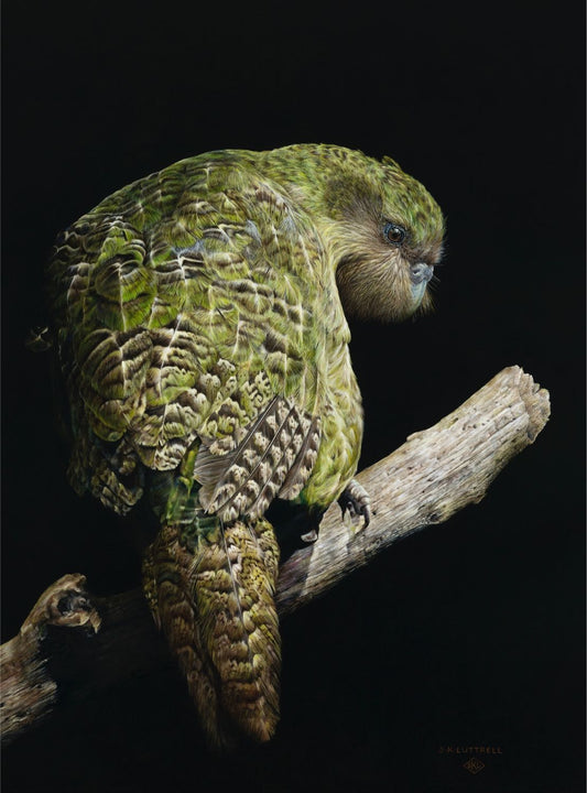 The Treasured Kakapo - Sarah Luttrell - Quirky Fox