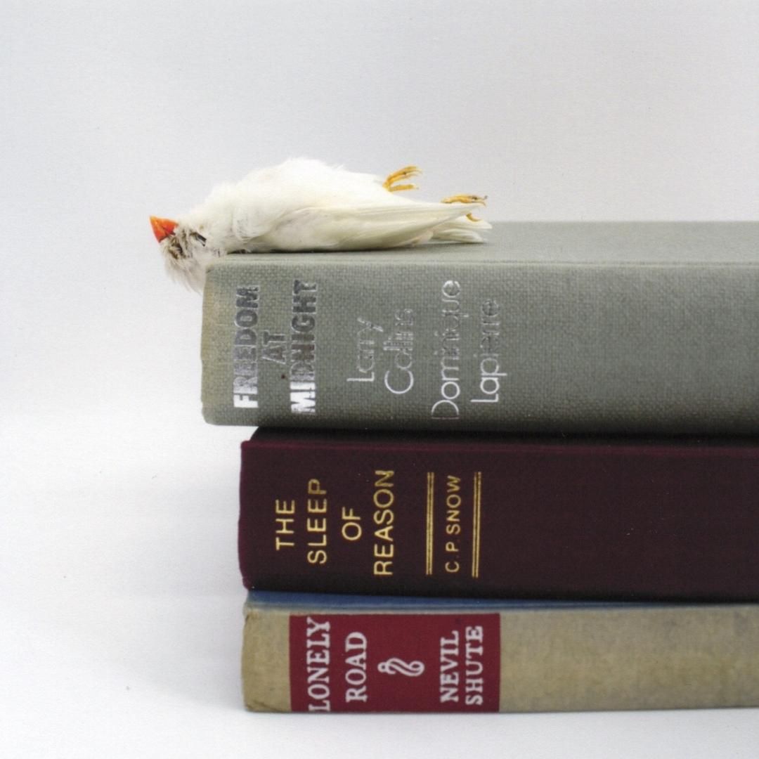 Untitled - Open edition print by Antoinette Ratcliffe