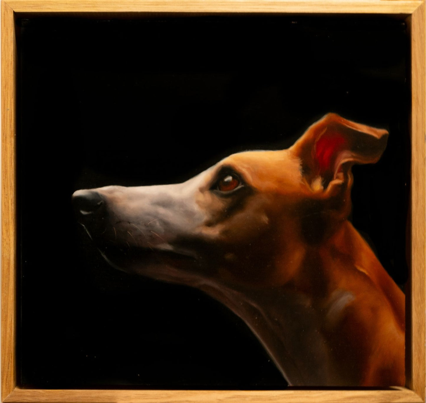 Oil painting of a tan and white dog by Brooke Walker