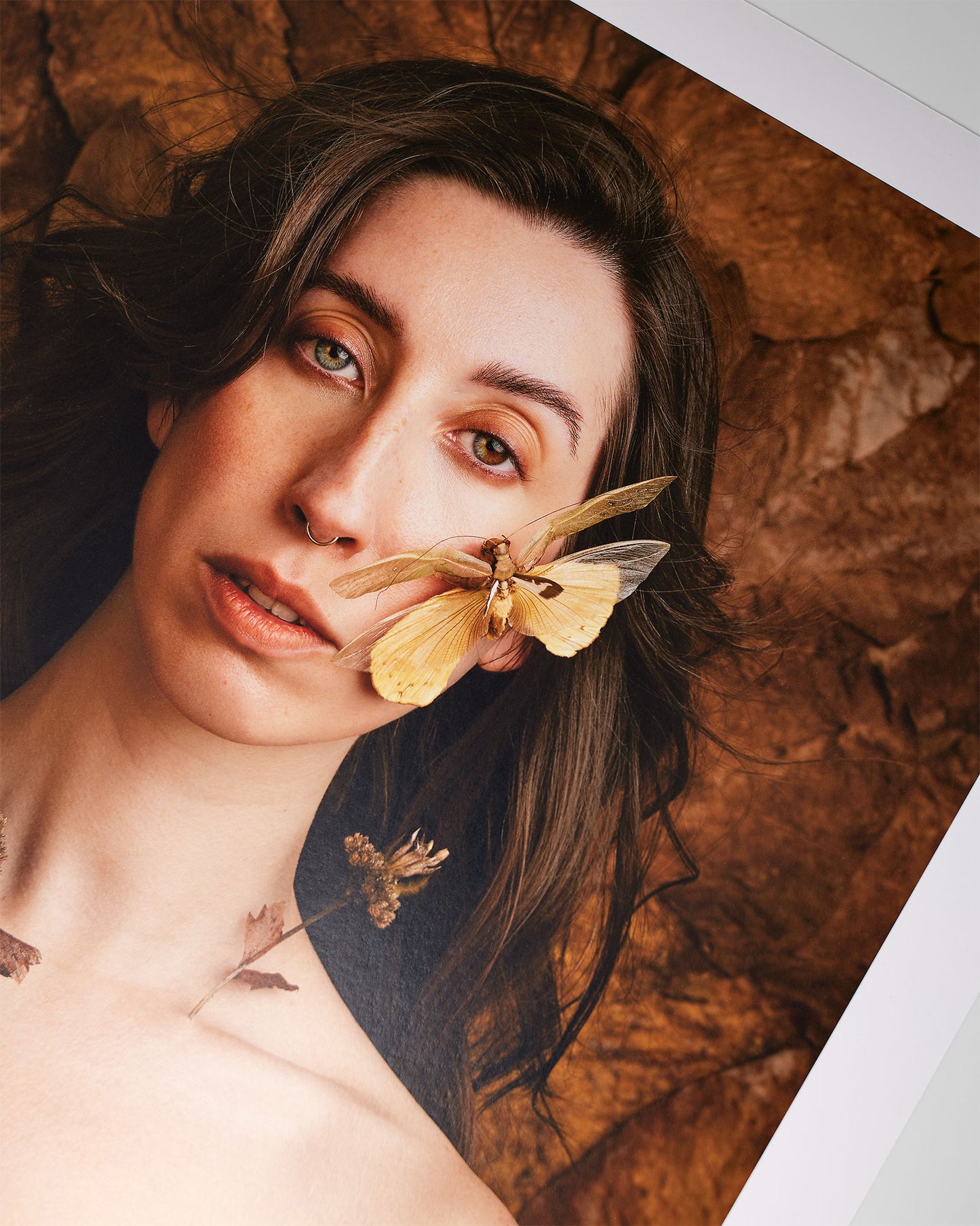 Wonder for Nature - Leigh Schneider - Quirky Fox