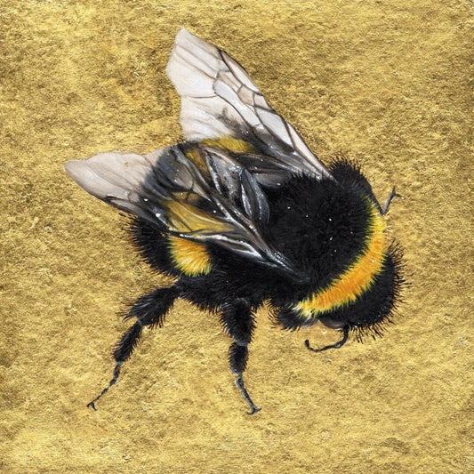 Metaphysical, Spiritual & Philosophical: The Art of Jane Crisp