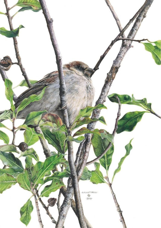 A Moment’s Peace - Limited Edition Print by Sarah Luttrell