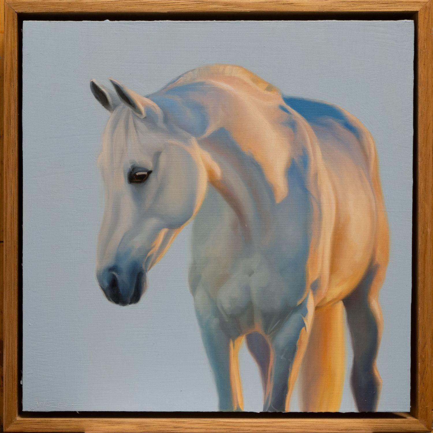 Painting of a grey (white) horse with a wooden frame