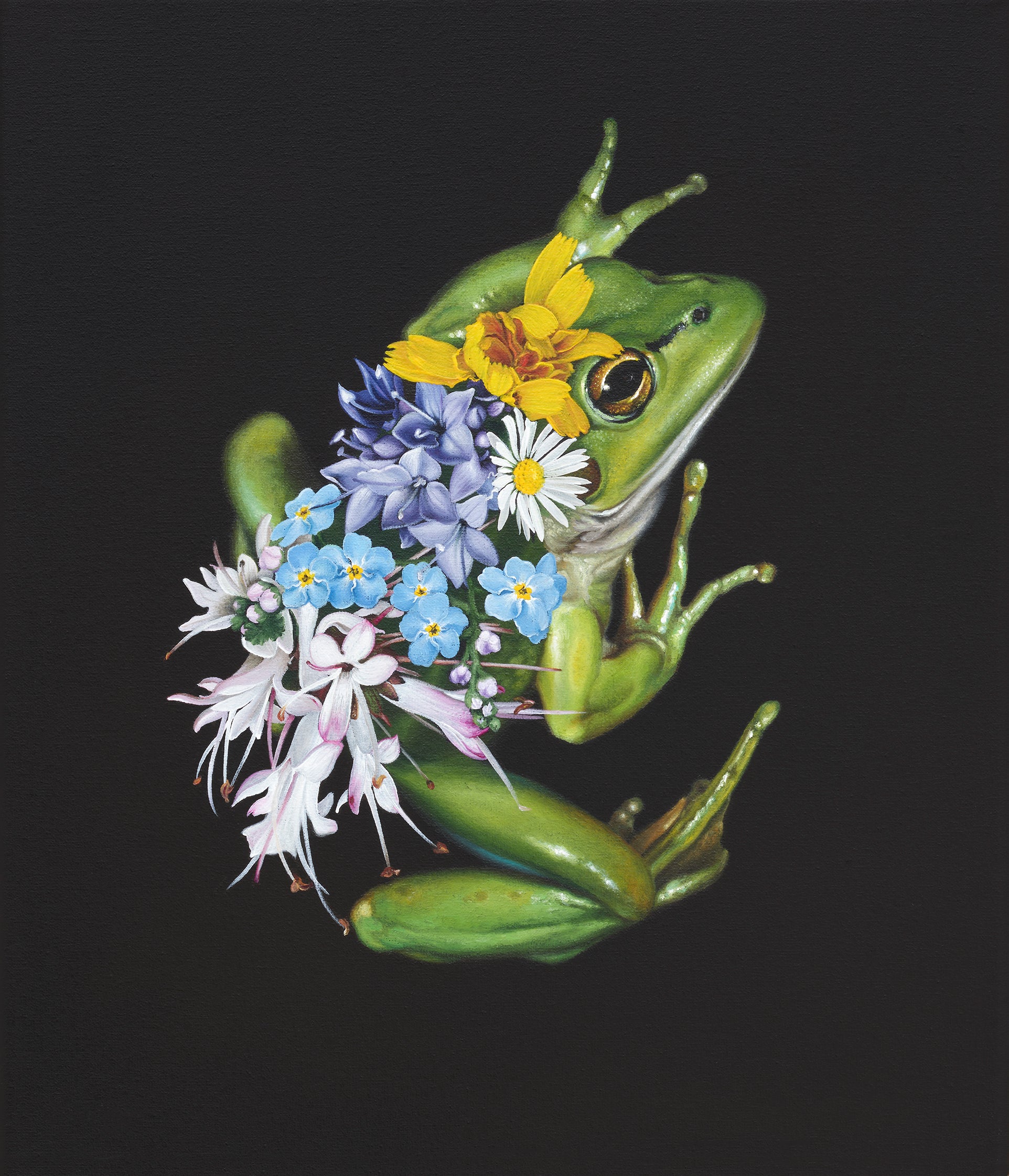 Original acrylic painting of a small frog covered in colourful blooms by Jane Crisp