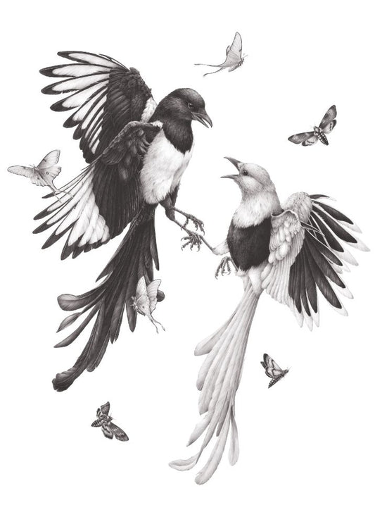 Balanced Duality - original graphite drawing by Kerry Jane