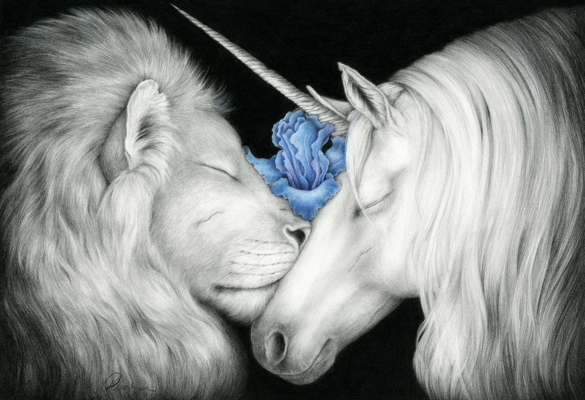 Graphite and coloured pencil illustration of a unicorn and lion in contemplation. 