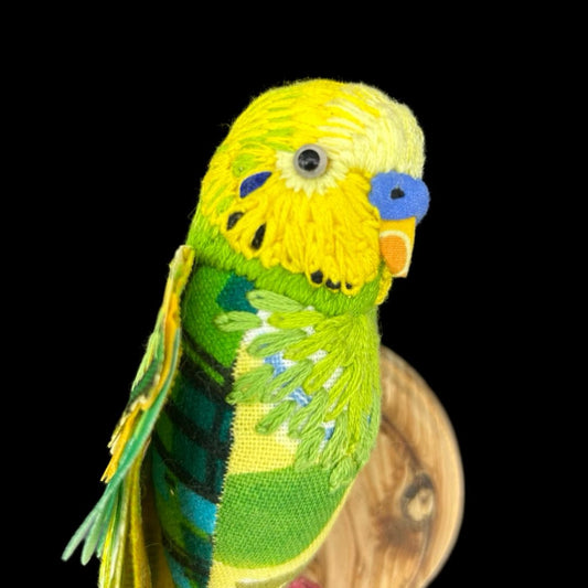 Budgie (blue cere) - Robyn Lees-West - Quirky Fox 