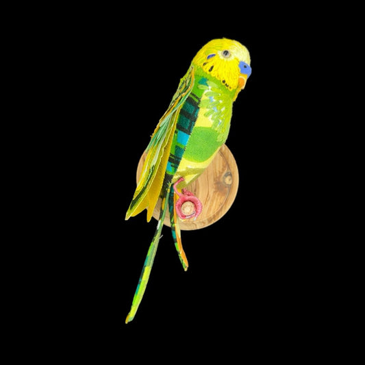 Budgie (blue cere) - Robyn Lees-West - Quirky Fox 