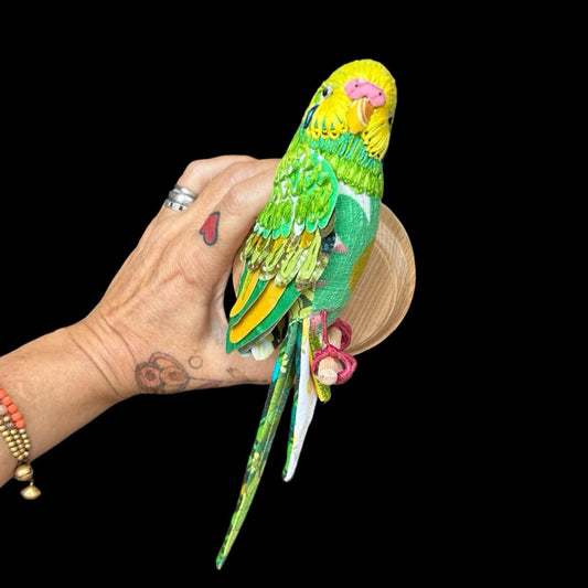Budgie (pink cere) - Robyn Lees-West - Quirky Fox 