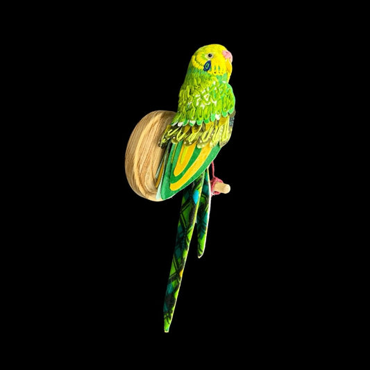 Budgie (pink cere) - Robyn Lees-West - Quirky Fox 