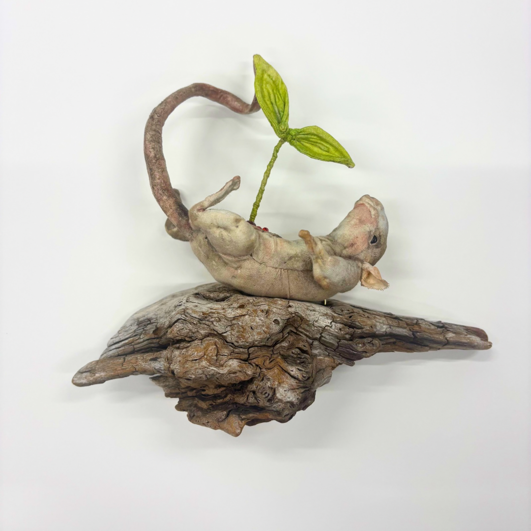 Small fabric taxidermy rat with a plant growing from its stomach set on a piece of driftwood
