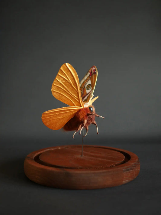 Faux taxidermy emperor moth created from wool, wire, thread, clay and watercolour wings.