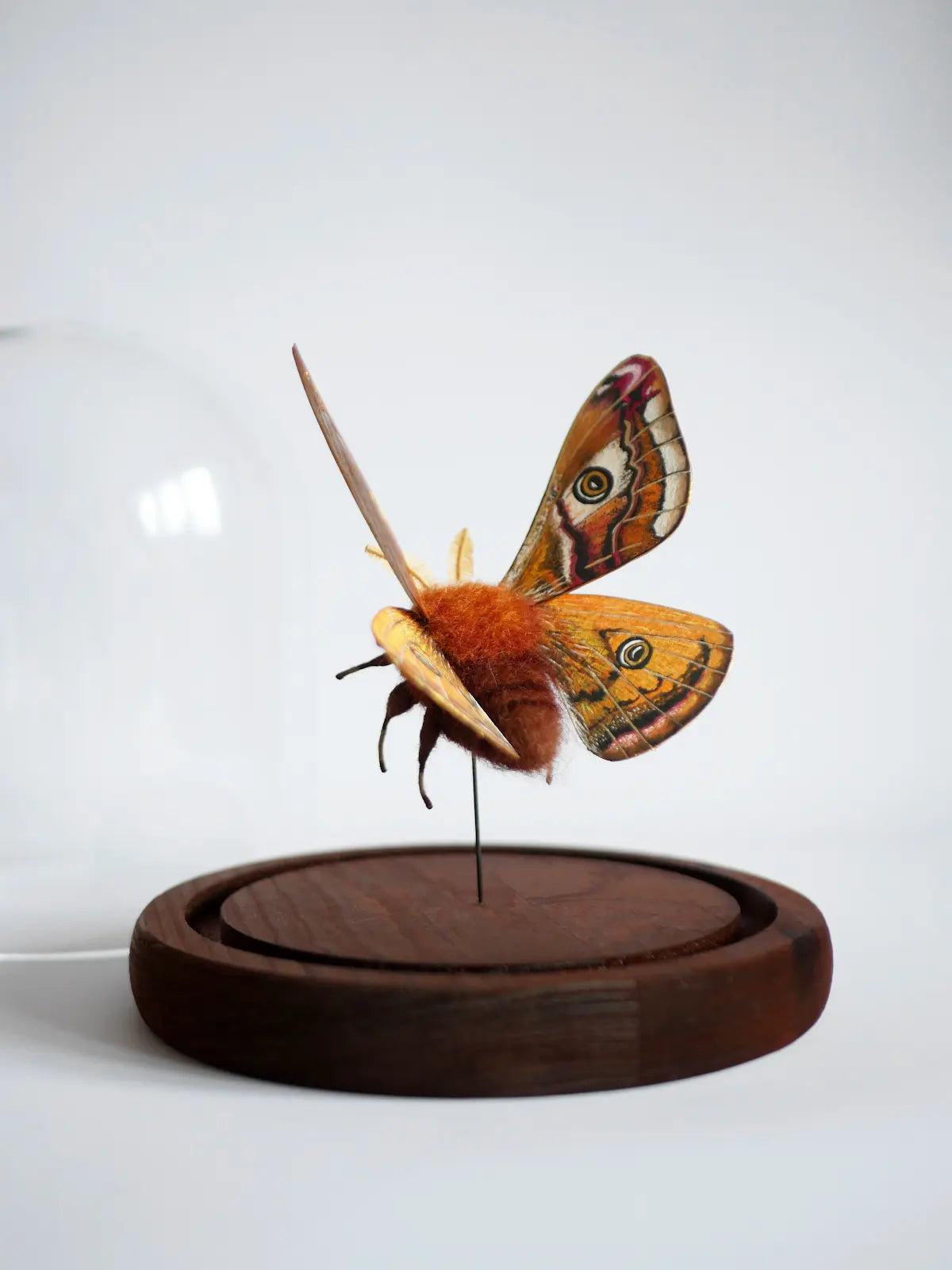 Faux taxidermy emperor moth created from wool, wire, thread, clay and watercolour wings.