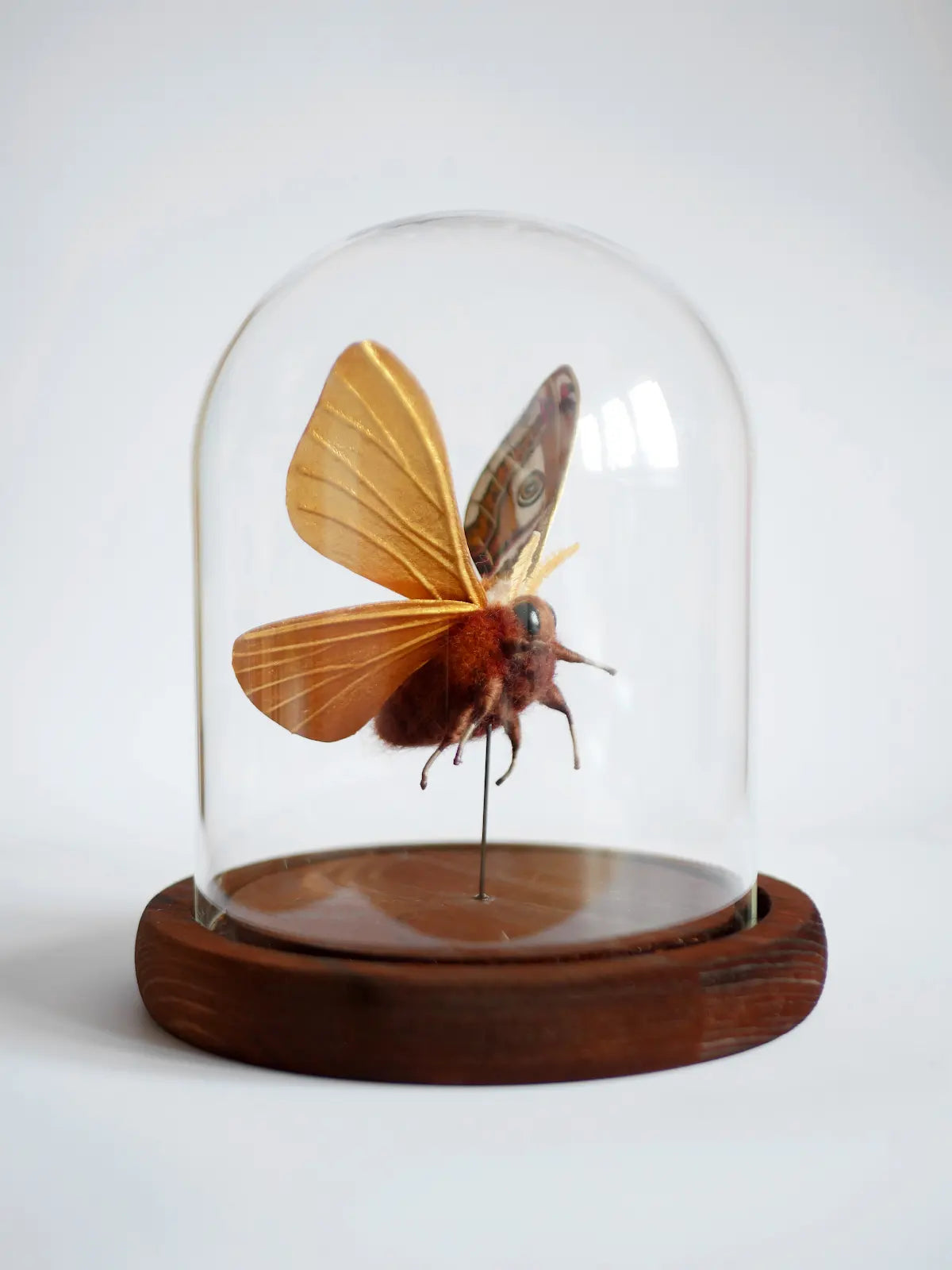 Faux taxidermy emperor moth created from wool, wire, thread, clay and watercolour wings.