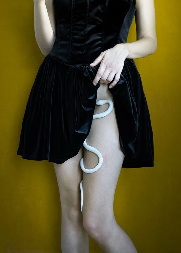 Women wearing a black dress with a white snake crawling up her leg