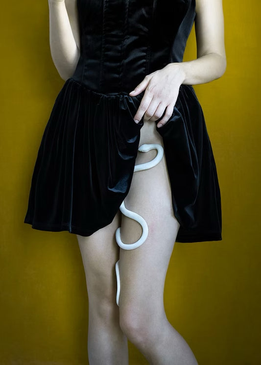 Women wearing a black dress with a white snake crawling up her leg