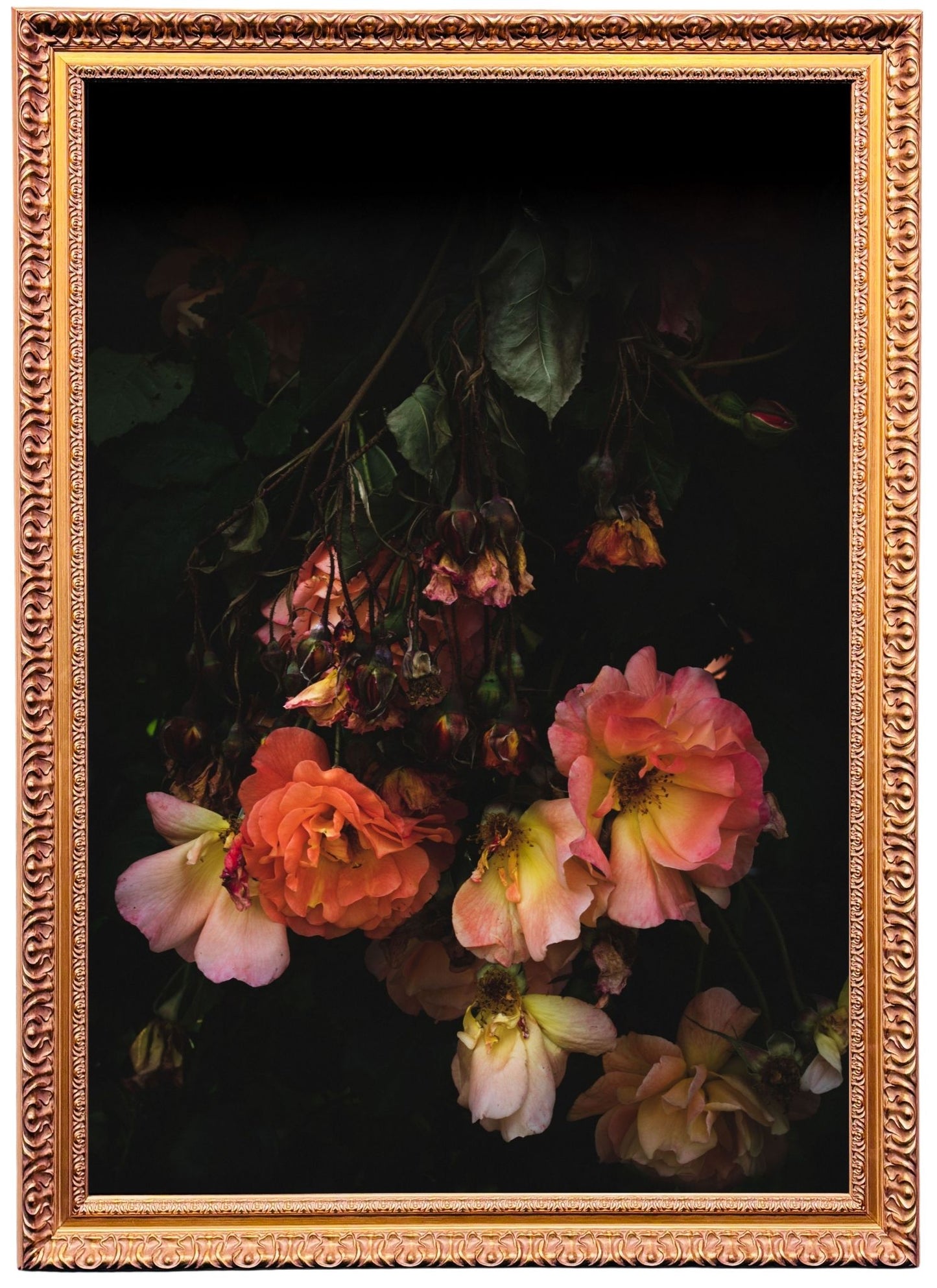 Framed version of Laura Tait’s Floral Study No. 1