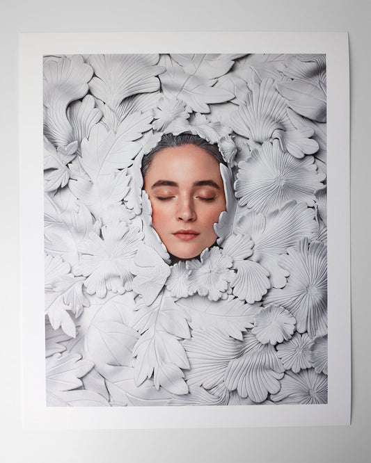 Formation - Leigh Schneider - Quirky Fox 