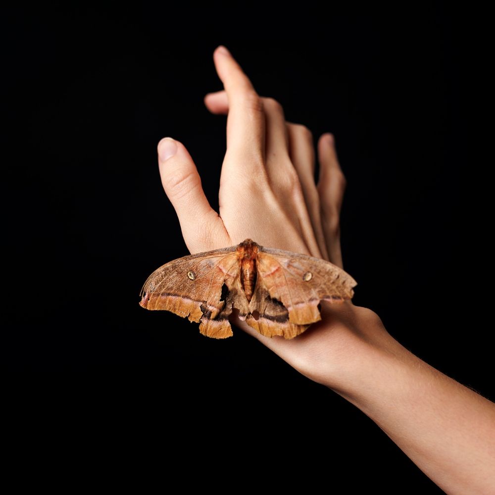 Helping Hand I - limited edition photographic print by Leigh Schneider