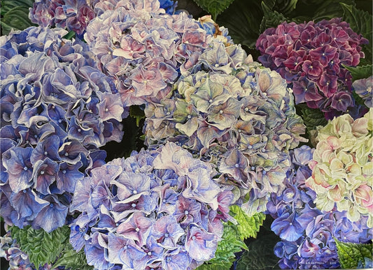 Hydrangeas - Sarah Luttrell - Quirky Fox 