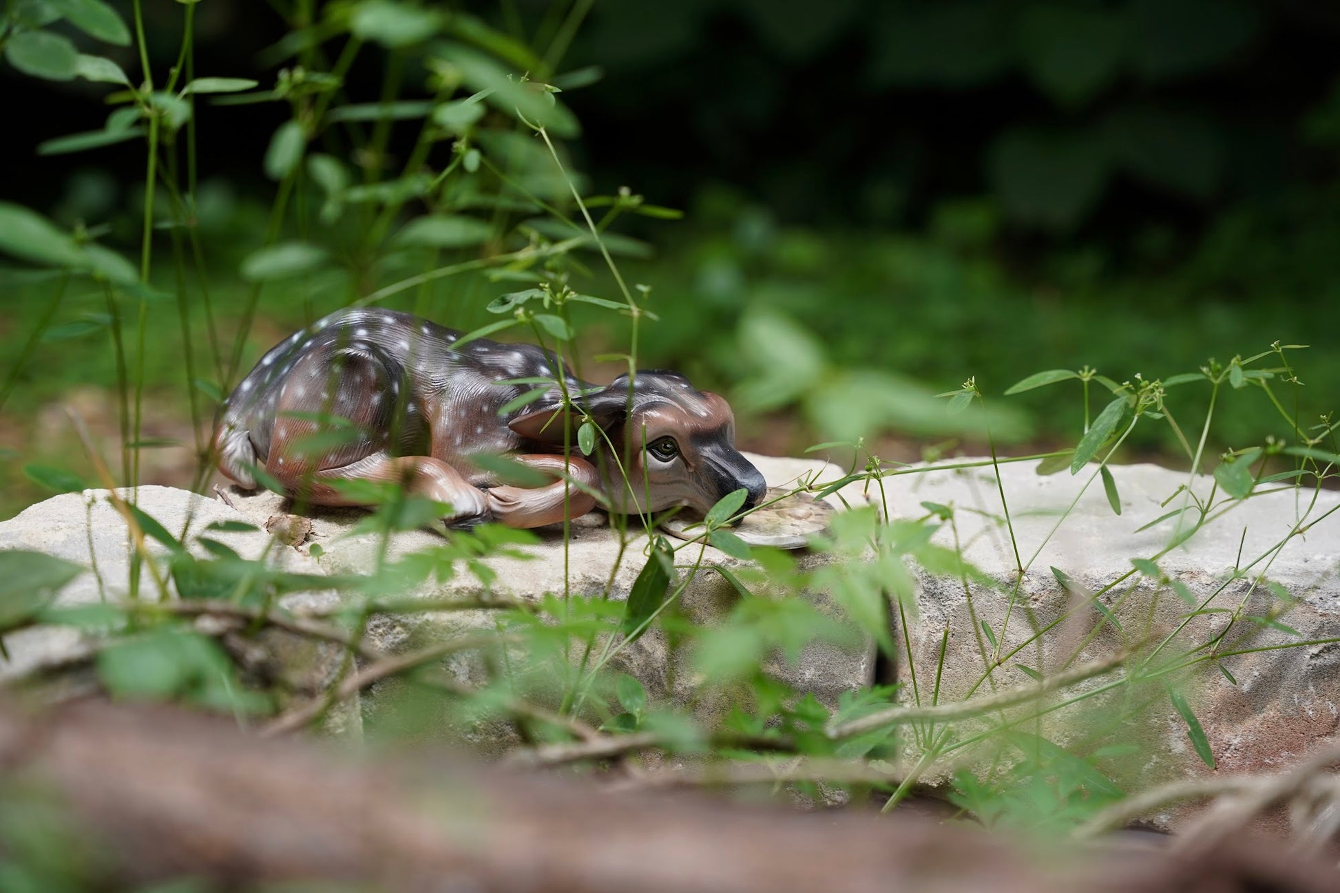 Polymer clay fawn sculpture by Shelby Clark-Glass