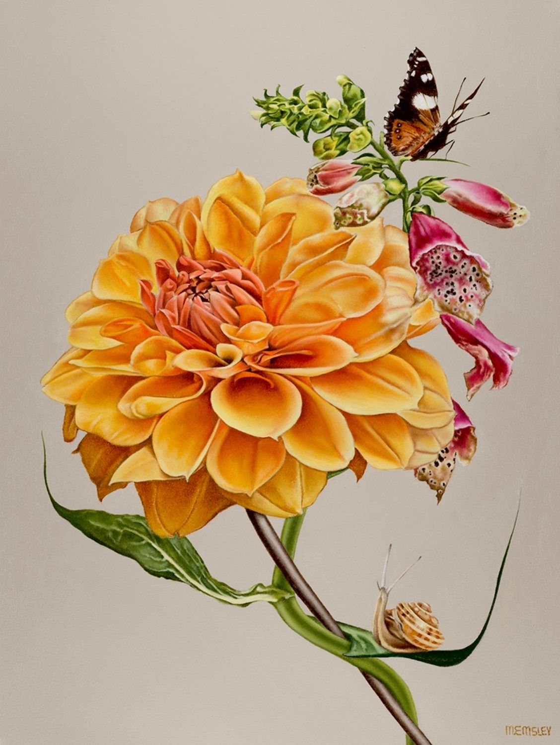 Illustration of a large yellow dahlia and emerging foxglove with a butterfly and snail.