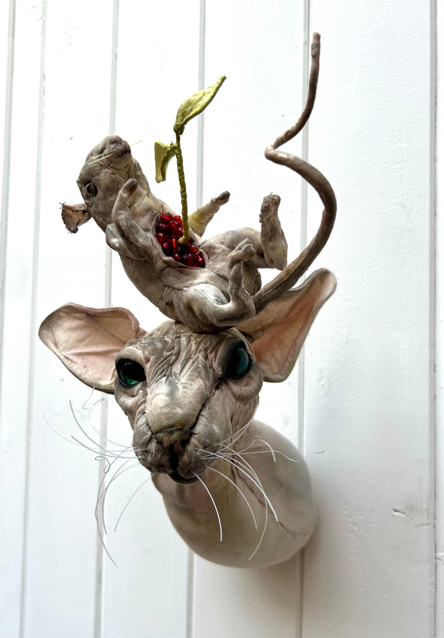 Rat Hat Cat