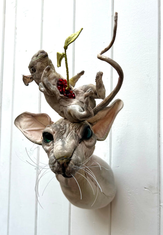 Rat Hat Cat