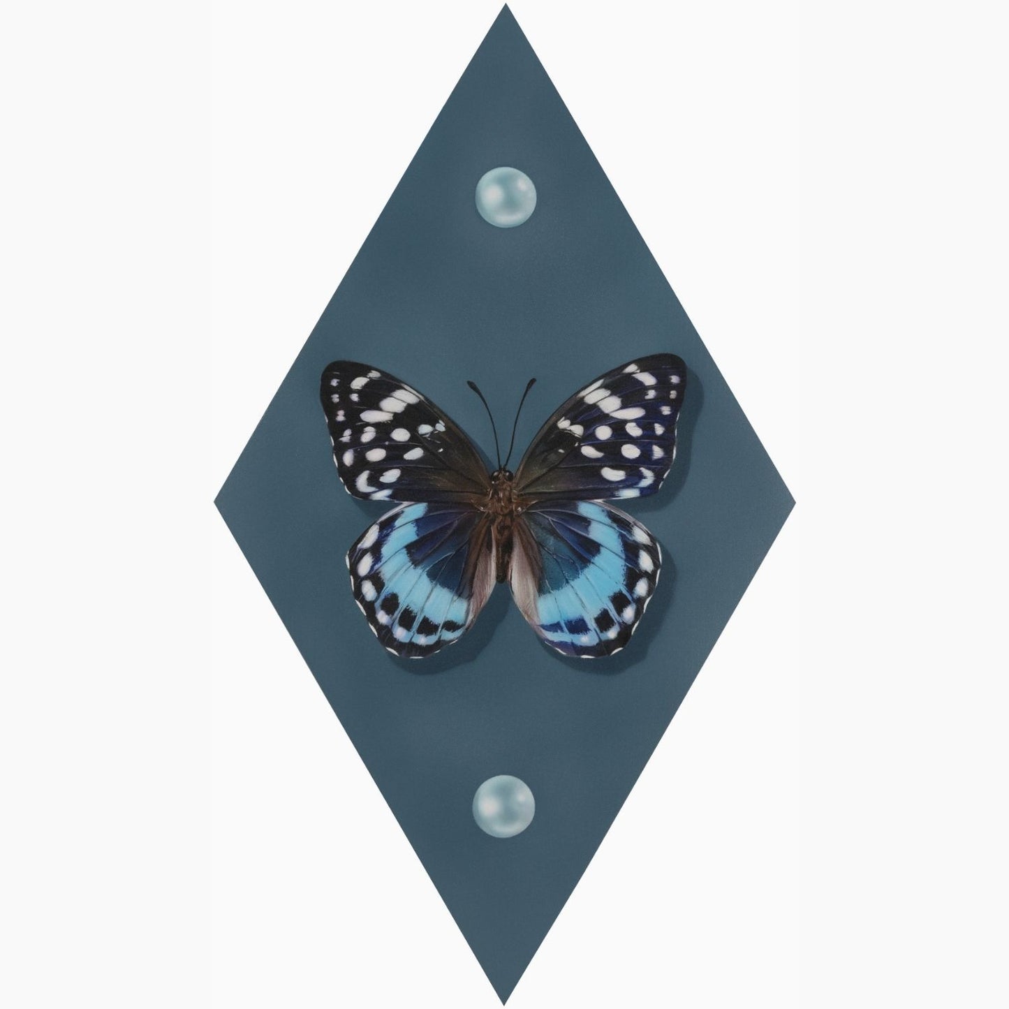 Airbrushed acrylic realistic painting of a butterfly on a diamond shaped birch panel